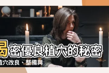 【植穴】揭密優良植穴的秘密：植穴改良、整備與結構設計