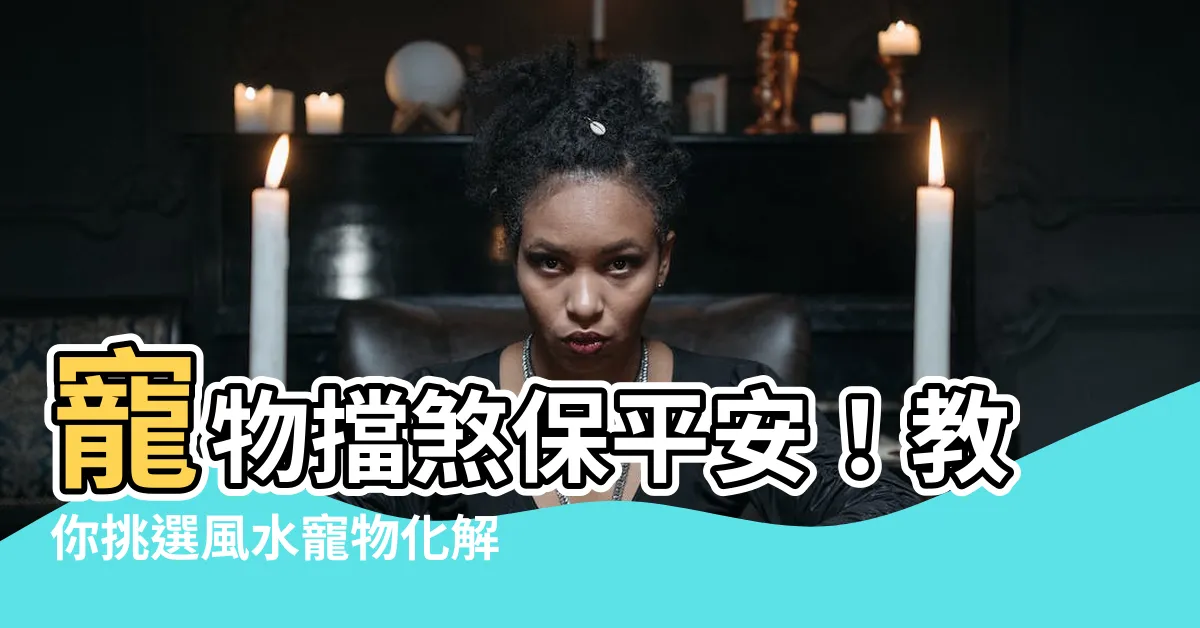 【寵物擋煞】寵物擋煞保平安！教你挑選風水寵物化解煞氣、驅邪除祟