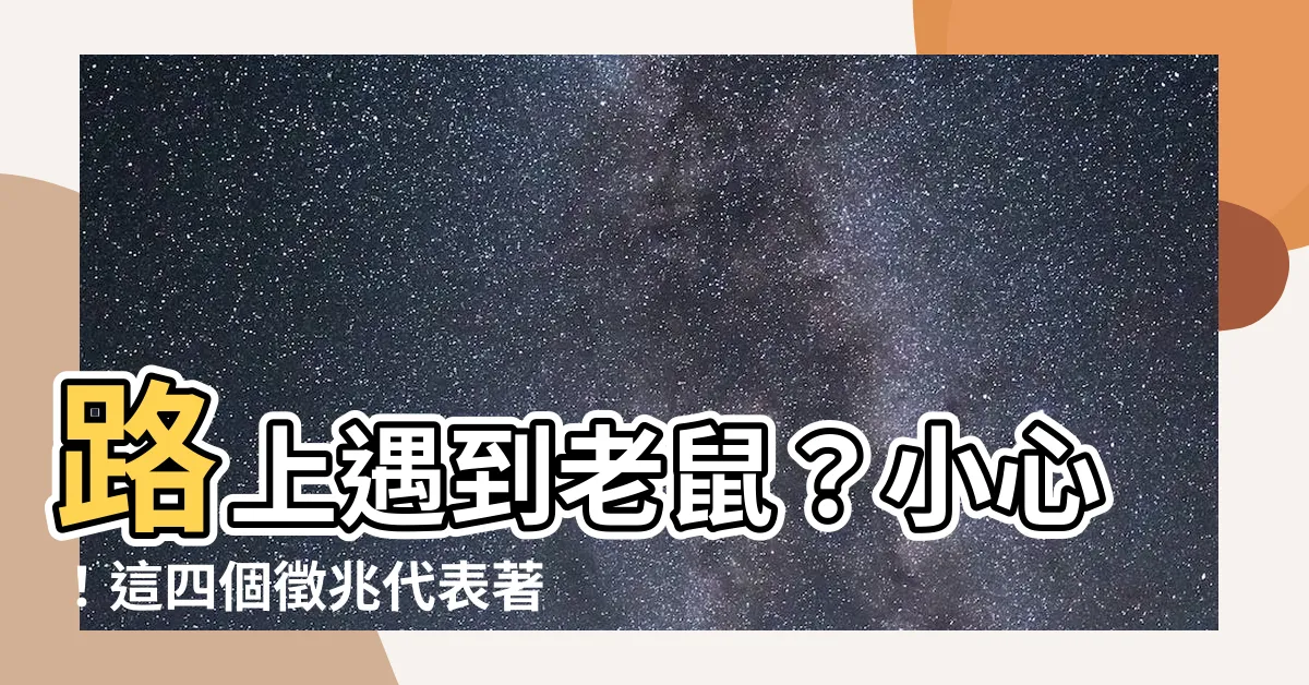 【路上看到老鼠代表什麼】路上遇到老鼠？小心！這四個徵兆代表著你的未來 fortune