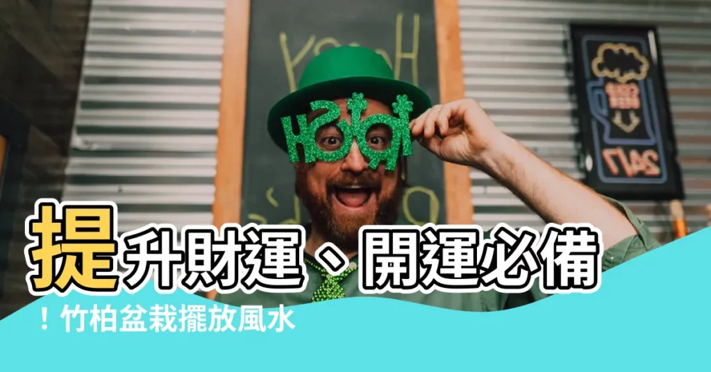 【竹柏盆栽風水】提升財運、開運必備！竹柏盆栽擺放風水這樣做！