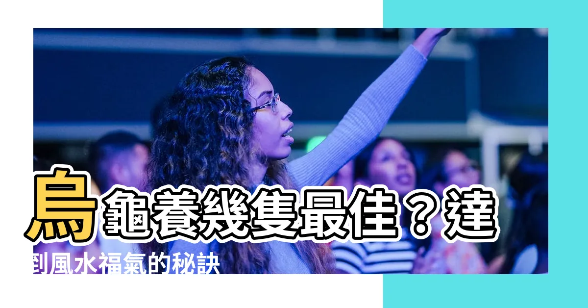 【烏龜養幾隻】烏龜養幾隻最佳？達到風水福氣的秘訣