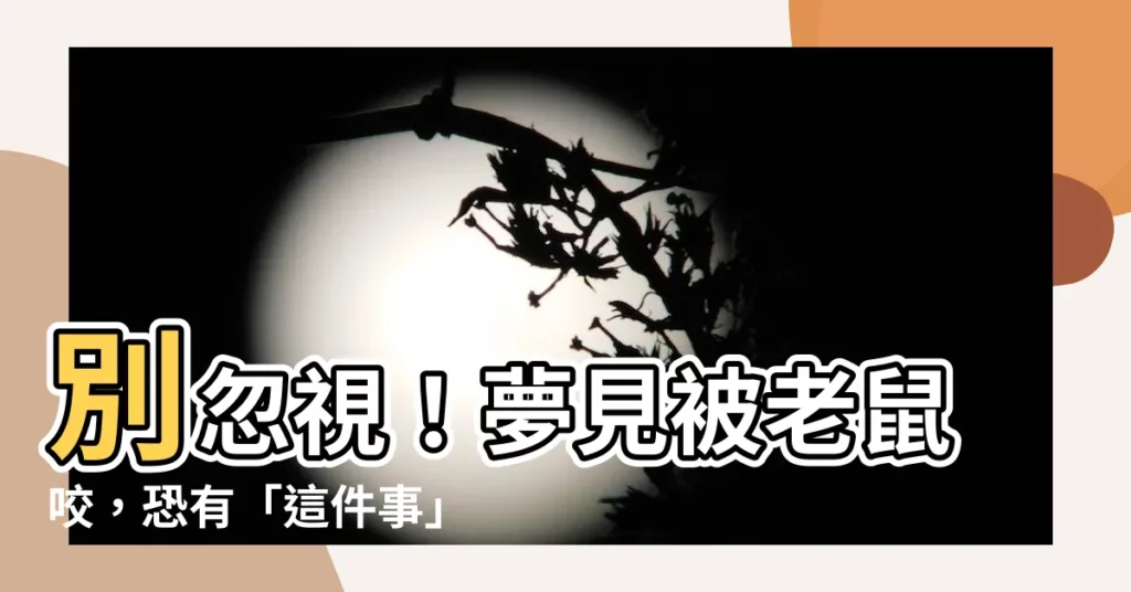 【夢見被老鼠咬】別忽視！夢見被老鼠咬，恐有「這件事」發生？