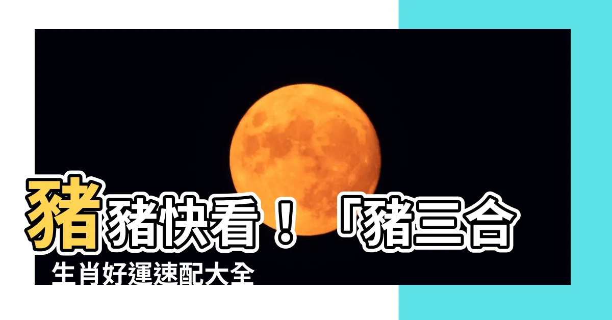 【豬三合】豬豬快看！「豬三合」生肖好運速配大全，幫你選對對象旺到發！