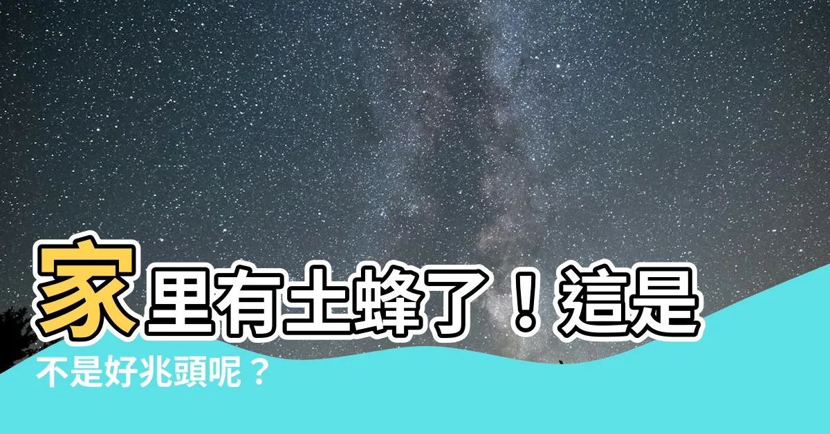 【家裡有土蜂】家裏有土蜂了！這是不是好兆頭呢？