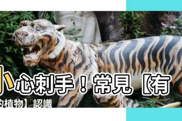 【有刺的植物有哪些】小心刺手！常見【有刺的植物】認識