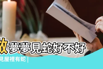 【夢見老房子裏邊有蛇】做夢夢見蛇好不好 |夢見屋裡有蛇 |夢見老房子有蛇是什麼意思 |