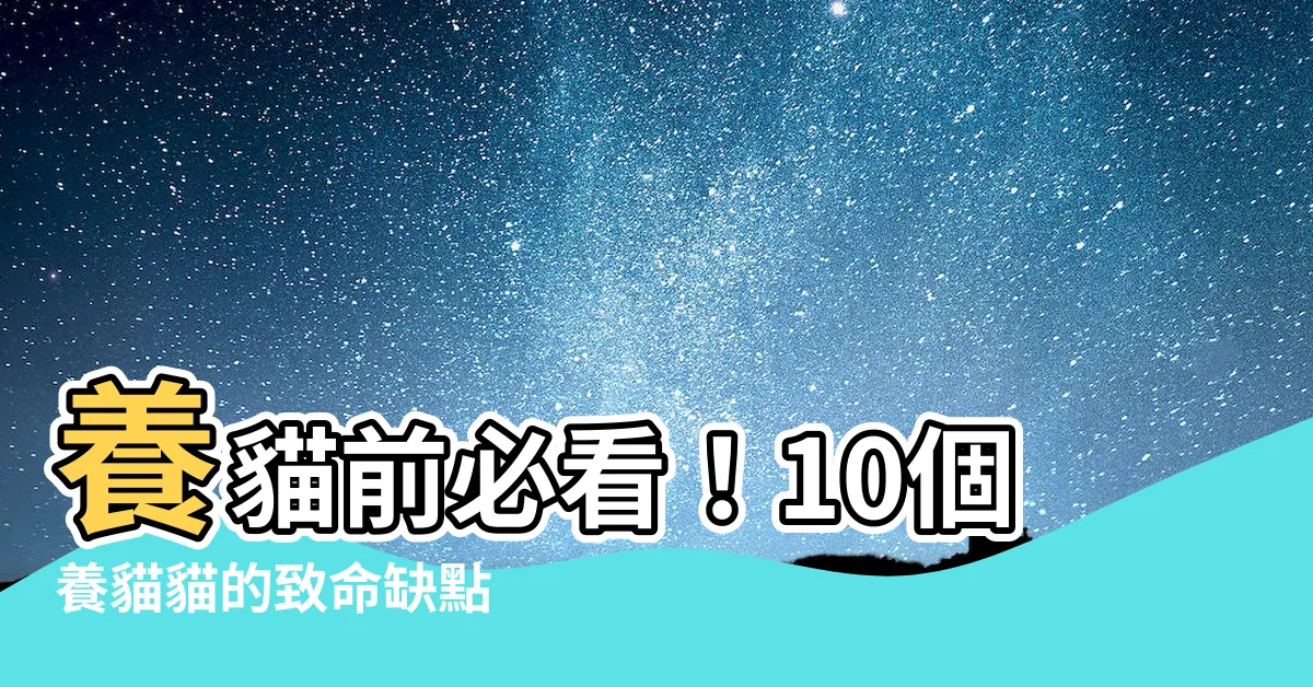 【養貓的壞處】養貓前必看！10個養貓貓的致命缺點
