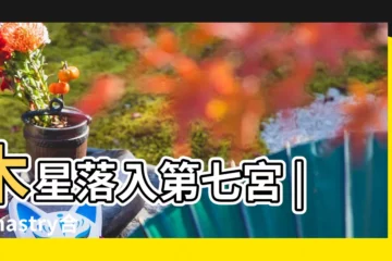 【火星木星落7宮】木星落入第七宮 |Synastry合盤宮位之木星落入七宮 |星盤解析火星落在第七宮 |