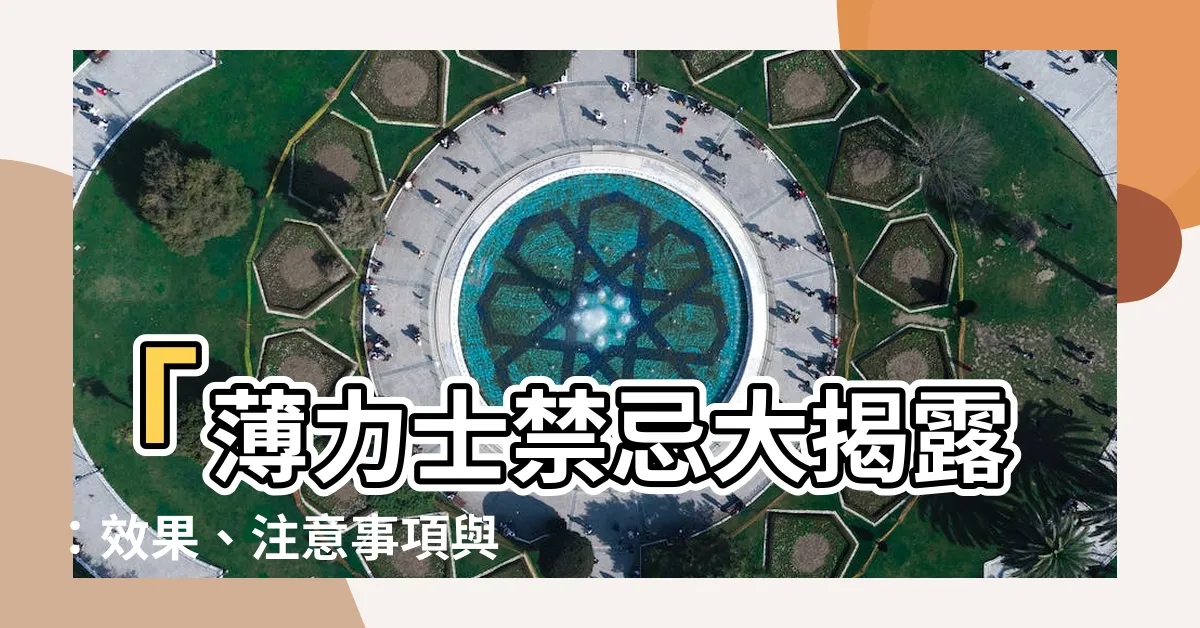 【薄力士禁忌】「薄力士禁忌大揭露：效果、注意事項與真相解析」
