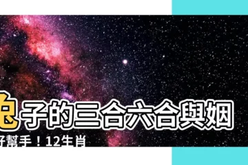 【兔子的三合六合】兔子的三合六合與姻緣好幫手！12生肖貴人對照表大公開！
