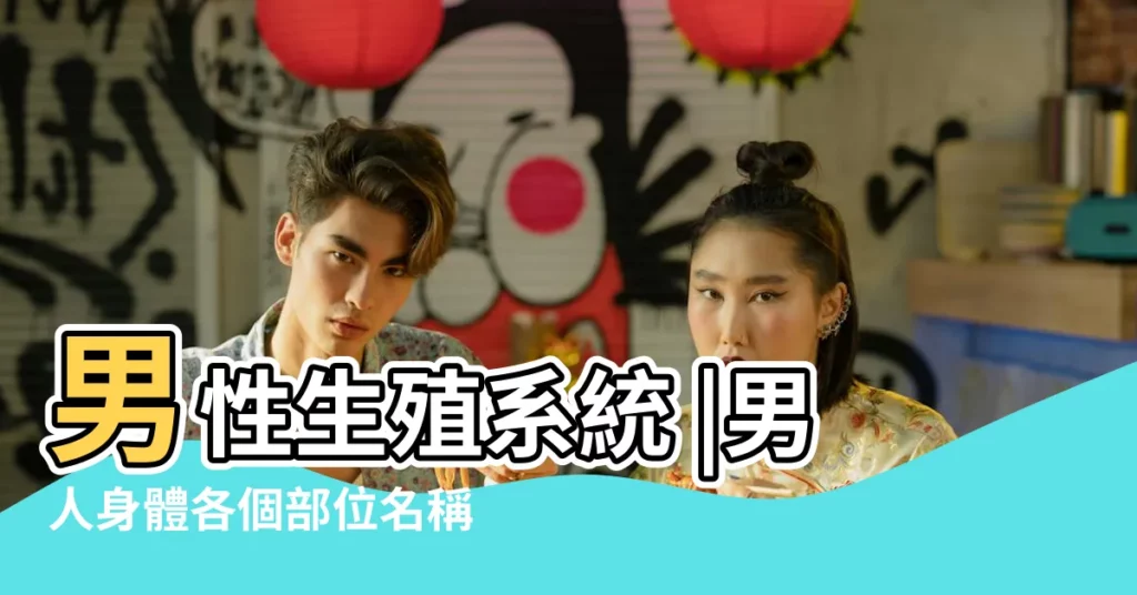 男性生殖系統 |男人身體各個部位名稱 |男性生殖系統 |【男性所有部位名稱】