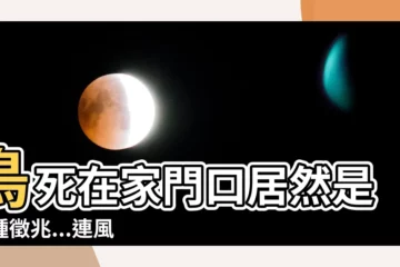 【鳥死在家門口】鳥死在家門口居然是這種徵兆...連風水專家都直呼不可思議！