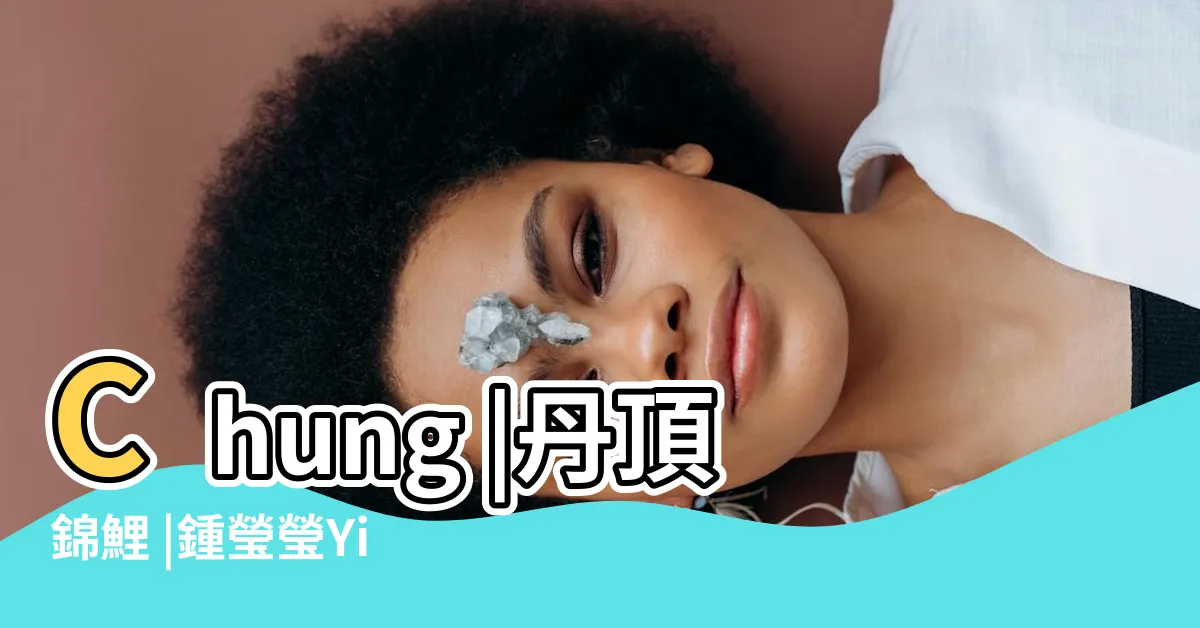 【錦鯉 丹頂昭和】Chung |丹頂錦鯉 |鍾瑩瑩Yingying |
