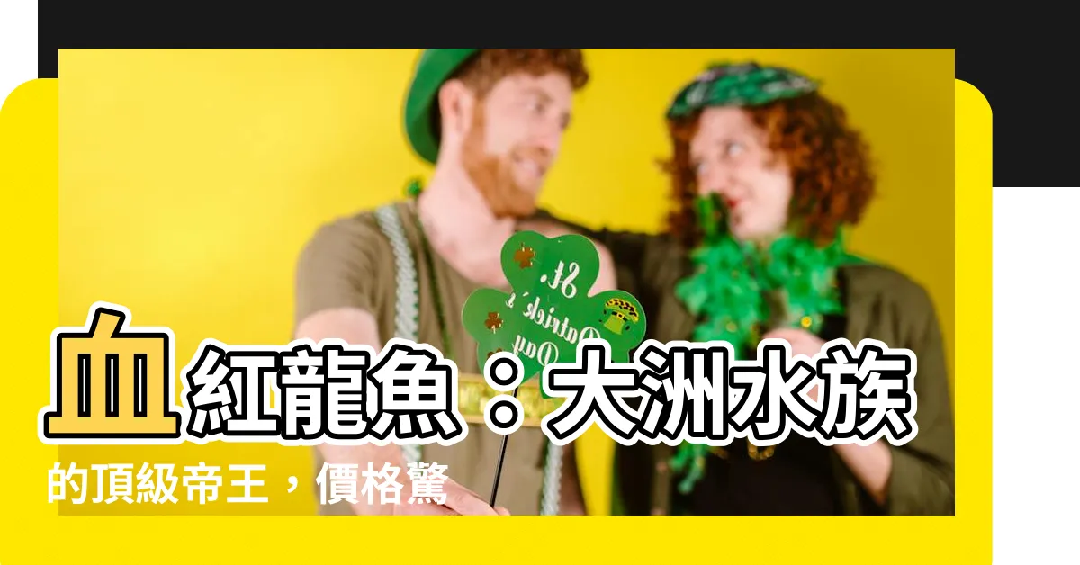 【血紅龍魚價格】血紅龍魚：大洲水族的頂級帝王，價格驚豔！