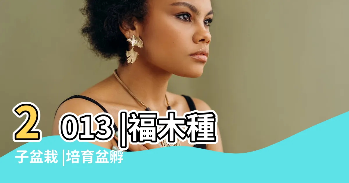 【福木種子盆栽】2013 |福木種子盆栽 |培育盆孵芽法 |