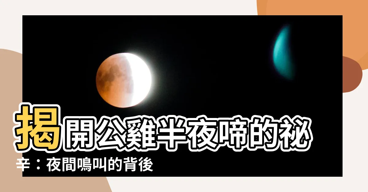 【公雞半夜啼】揭開公雞半夜啼的秘辛：夜間鳴叫的背後故事