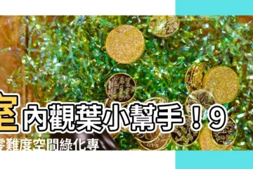 【室內 觀葉植物】室內觀葉小幫手！9款零難度空間綠化專用植物