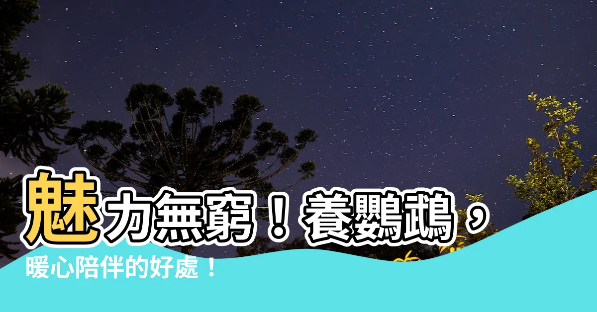 【養鸚鵡的好處】魅力無窮！養鸚鵡，暖心陪伴的好處！