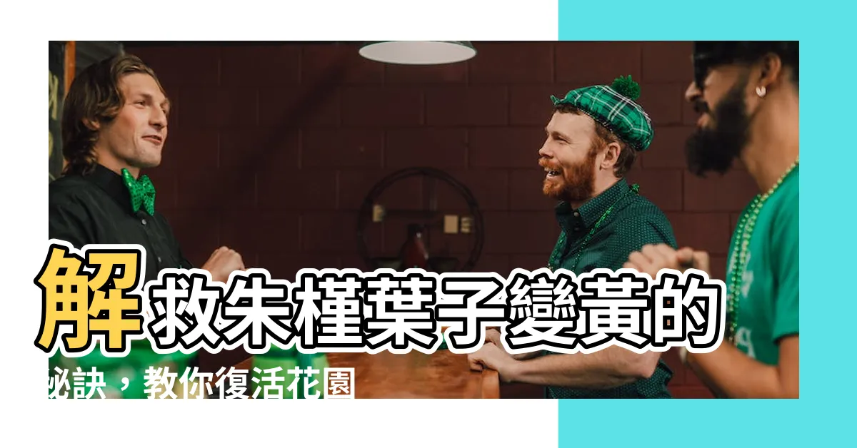 【朱槿葉子變黃】解救朱槿葉子變黃的秘訣，教你復活花園的綠色寶石