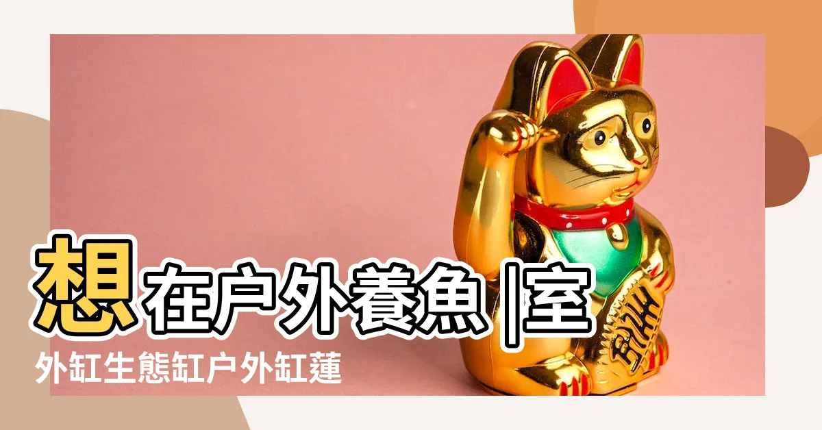 【室外缸 魚】想在户外養魚 |室外缸生態缸户外缸蓮花盆養魚防蚊户外養魚懶人缸 |