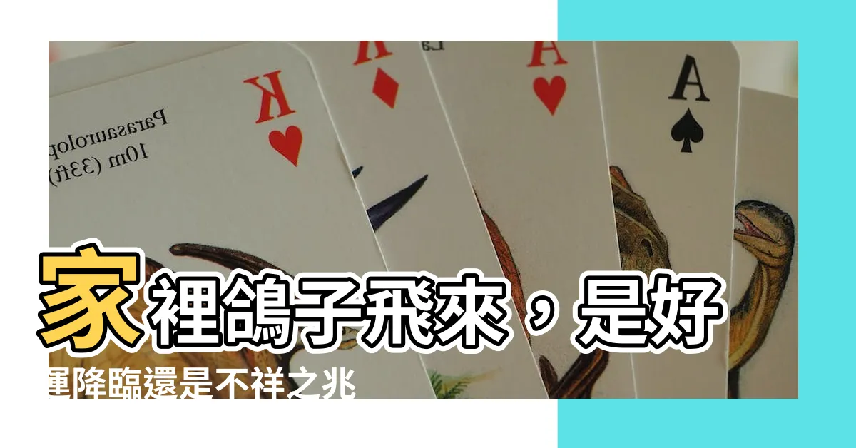 【鴿子飛來家裡代表什麼】家裡鴿子飛來，是好運降臨還是不祥之兆？