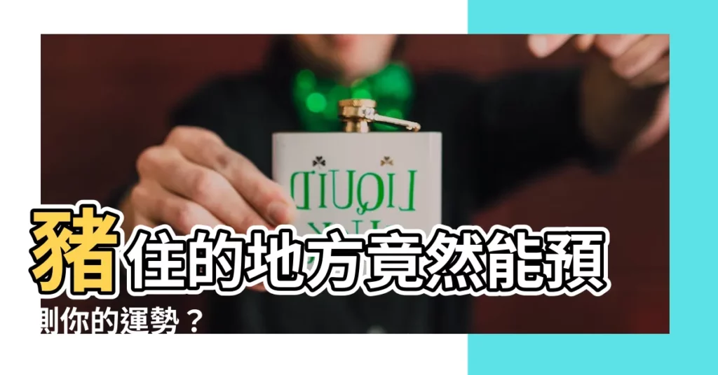 【豬住的地方】豬住的地方竟然能預測你的運勢？