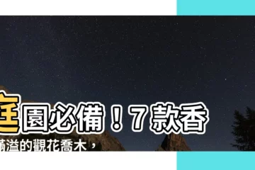 【庭園樹木種類】庭園必備！7 款香氣滿溢的觀花喬木，療癒人心超迷人