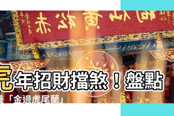 【金邊虎尾蘭 風水】虎年招財擋煞！盤點必養「金邊虎尾蘭」 風水好富貴又平安
