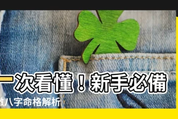 【怎麼看命格】一次看懂！新手必備紫微八字命格解析