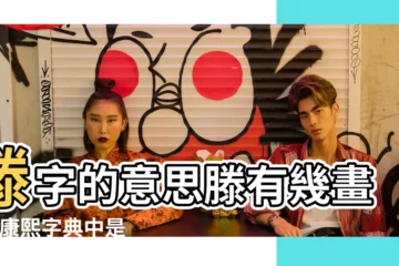 【滕字姓名筆畫有幾畫】滕字的意思滕有幾畫 |在康熙字典中是多少筆畫 |滕的繁體字多少畫 |