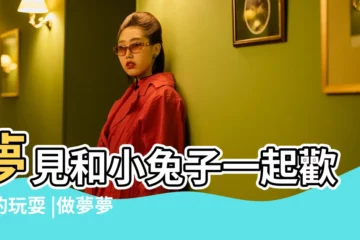 【夢到和兔子玩】夢見和小兔子一起歡快的玩耍 |做夢夢見兔子好不好 |做夢夢見兔子好不好 |