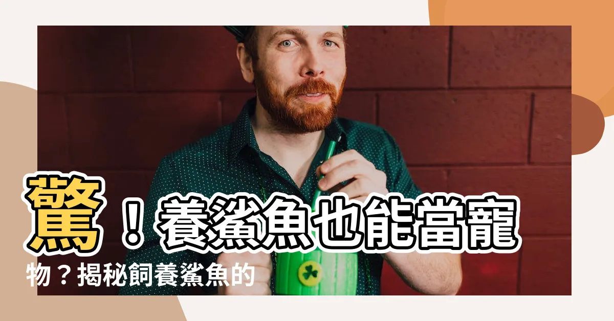 【養鯊魚】驚！養鯊魚也能當寵物？揭秘飼養鯊魚的驚人內幕！