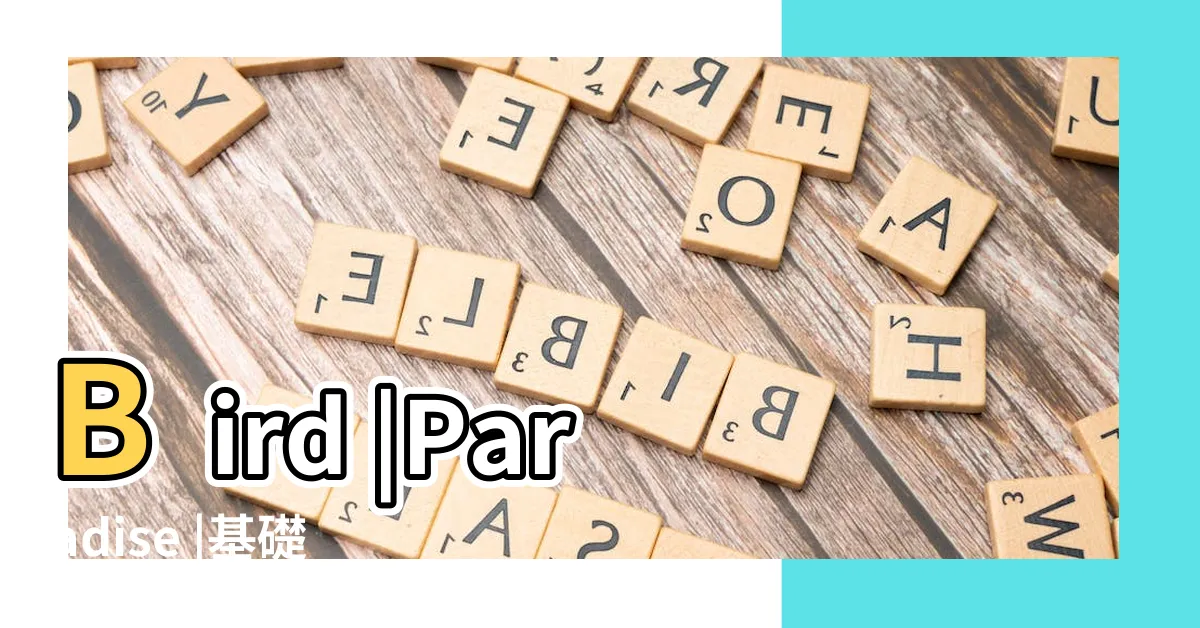 【天堂鳥植物】Bird |Paradise |基礎照顧方法和特色 |