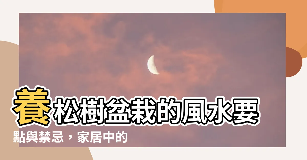 【松樹盆栽風水】養松樹盆栽的風水要點與禁忌，家居中的松樹盆景風水效應解析