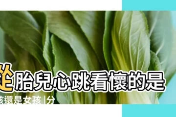 【懷兒懷女胎心音區別】從胎兒心跳看懷的是男孩還是女孩 |分享懷男寶與懷女寶的區別 |讓你1眼看出來懷的是男孩是女孩 |