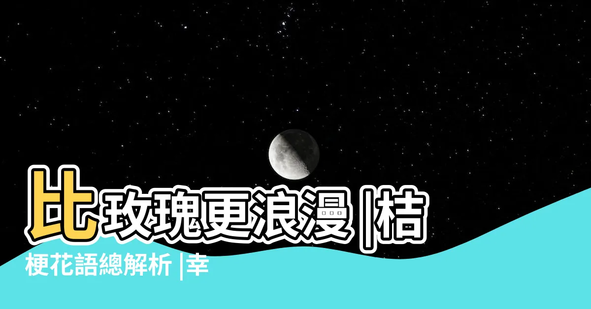【結艮】比玫瑰更浪漫 |桔梗花語總解析 |幸福降臨 |