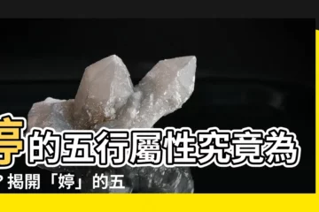 【婷的五行】婷的五行屬性究竟為何？揭開「婷」的五行奧秘！