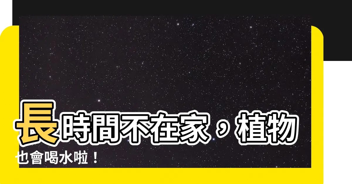 【長時間不在家 植物】長時間不在家，植物也會喝水啦！