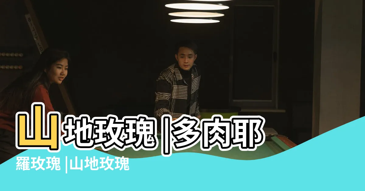 【山地玫瑰多肉玫瑰】山地玫瑰 |多肉耶羅玫瑰 |山地玫瑰屬多肉中的粉色蘿莉 |