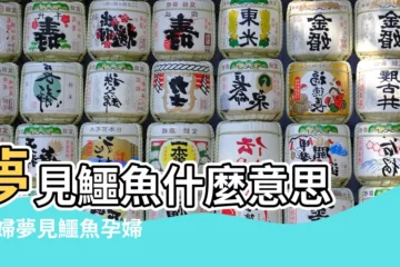 【孕婦夢見鱷魚變成男人】夢見鱷魚什麼意思 |孕婦夢見鱷魚孕婦夢見鱷魚咬人 |周公解夢 |