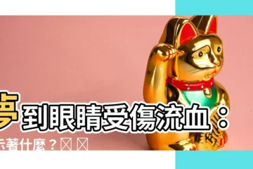 【夢到眼睛受傷流血】夢到眼睛受傷流血：預示著什麼？😨 🩸