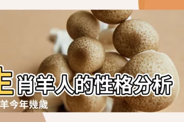 【屬羊的人的性格及未來】生肖羊人的性格分析 |屬羊今年幾歲 |屬羊人的性格和脾氣 |