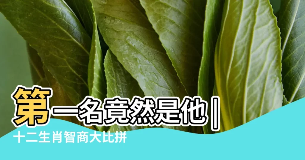 第一名竟然是他 |十二生肖智商大比拼 |十二生肖故事傳説 |【長得肥很笨的生肖】