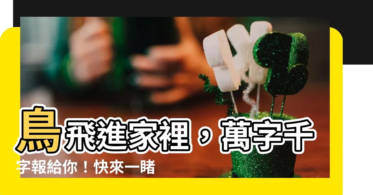 【鳥飛進家裏萬字】鳥飛進家裡，萬字千字報給你！快來一睹！