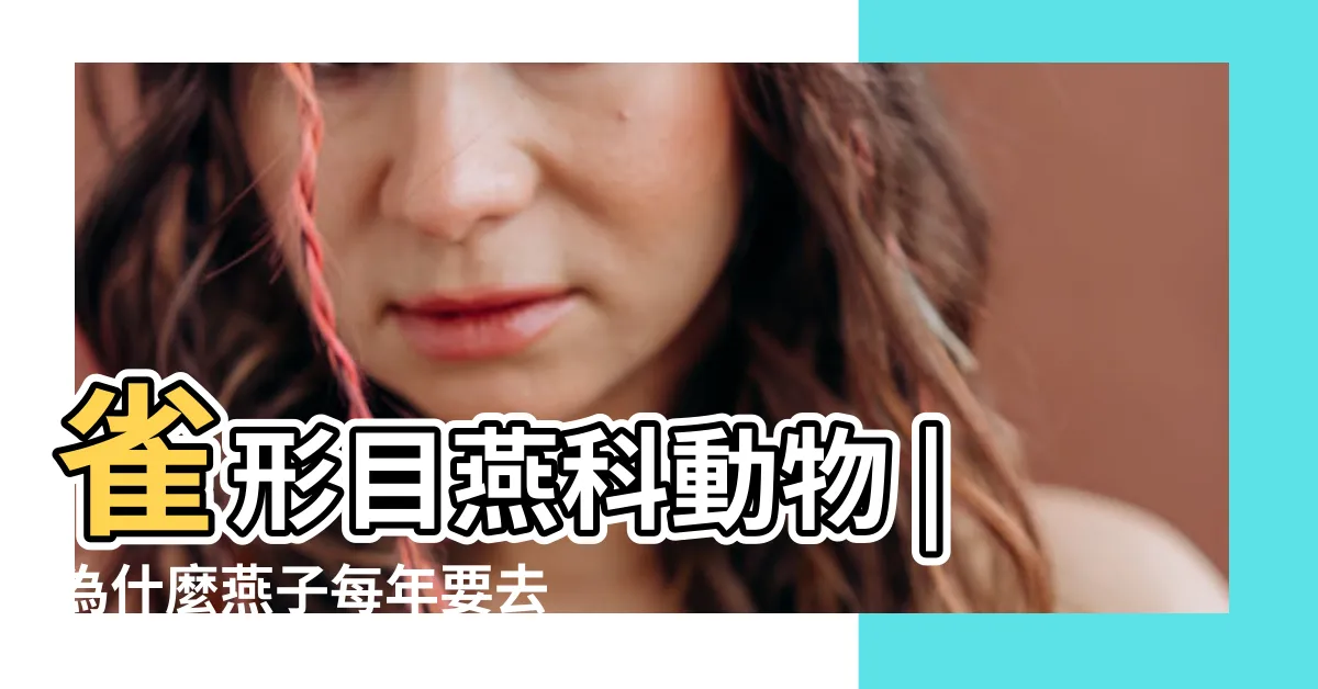 【燕子的季節】雀形目燕科動物 |為什麼燕子每年要去南方過冬 |到底在哪裡 |