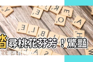 【哪裡有桃樹】踏尋桃花芬芳！驚豔綻放，哪裡有桃樹一覽