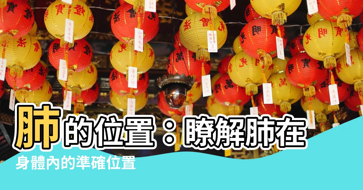 【肺 位置】肺的位置：瞭解肺在身體內的準確位置