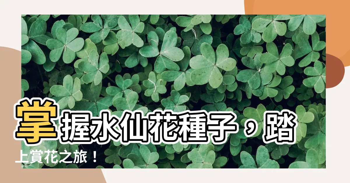 【水仙花種子】掌握水仙花種子，踏上賞花之旅！