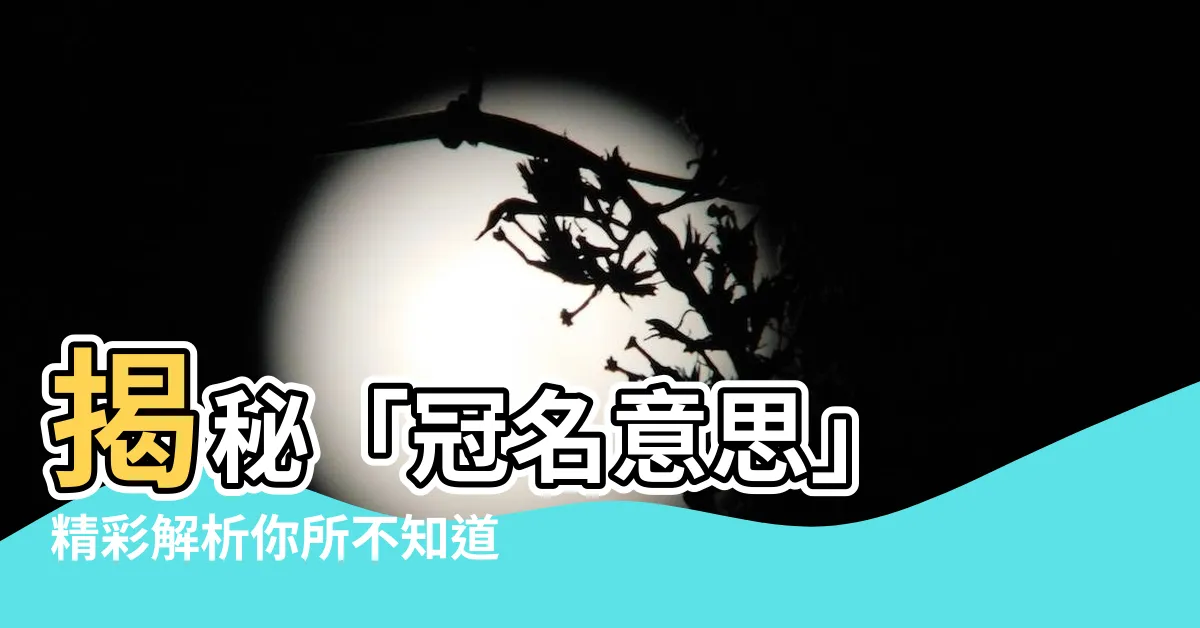 【冠名意思】揭秘「冠名意思」 精彩解析你所不知道的冠名贊助