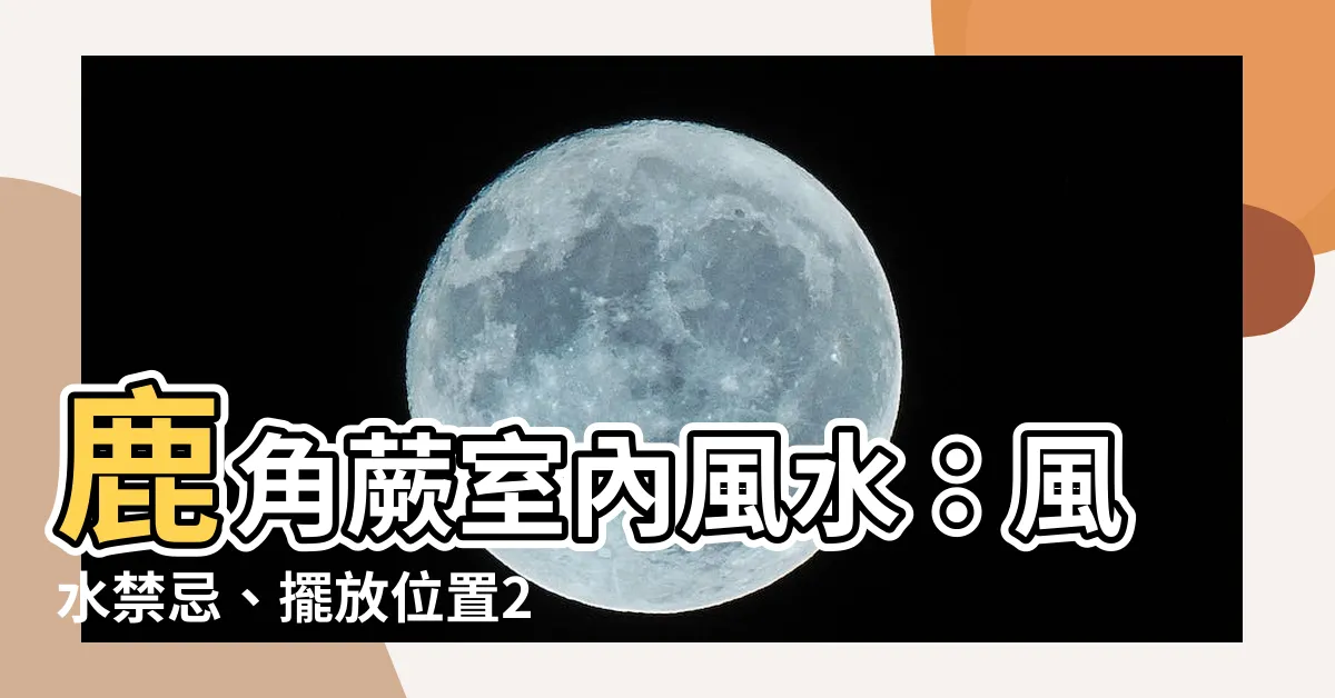 【鹿角蕨室內風水】鹿角蕨室內風水：風水禁忌、擺放位置2023，打造旺盛氣場！